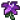 Nightshade Lily.png