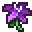 Nightshade Lily.png